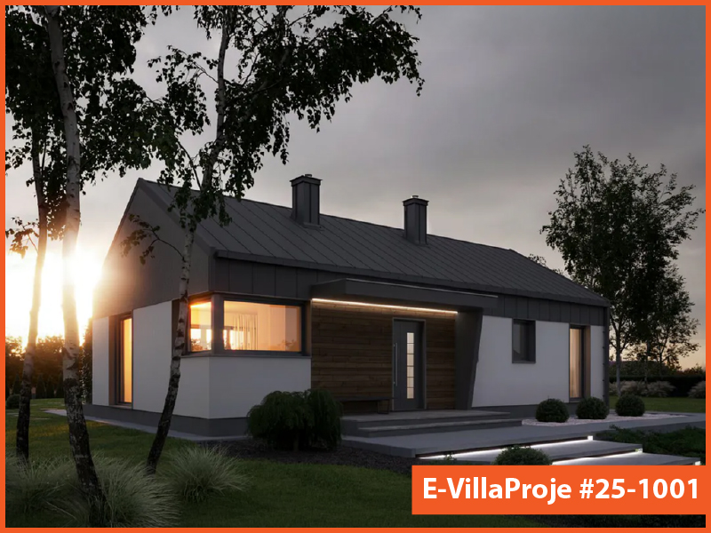 Ev Villa Proje #25 - 1001