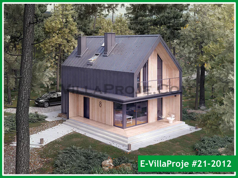 Ev Villa Proje #21 - 2012