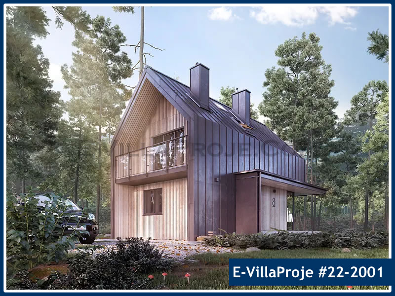 Ev Villa Proje #22 - 2001