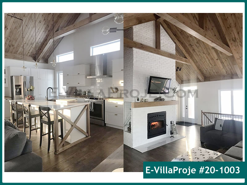 Ev Villa Proje #20 - 1003