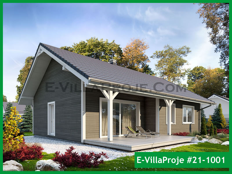 Ev Villa Proje #21 - 1001