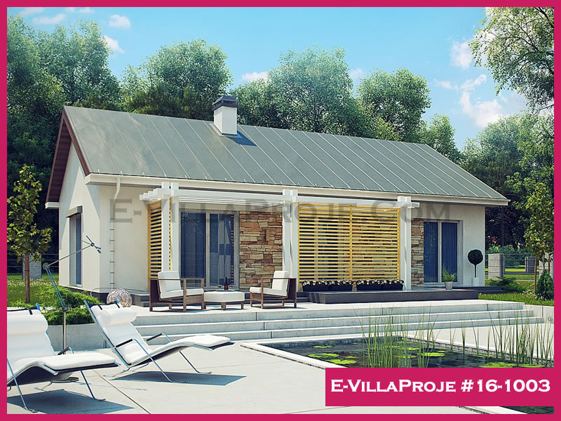 Ev Villa Proje #16 - 1003