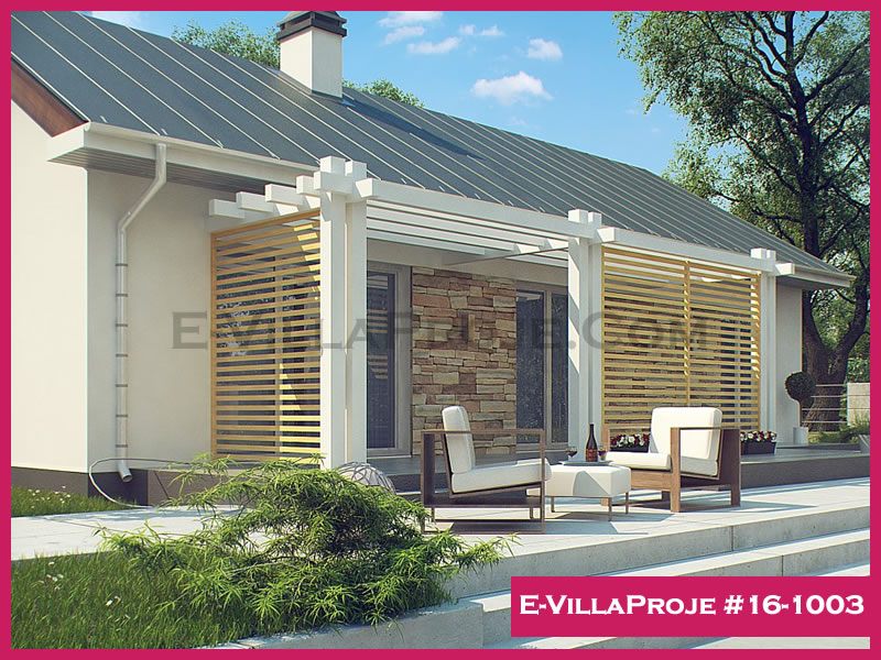 Ev Villa Proje #16 - 1003