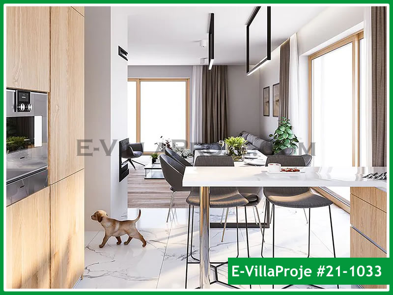 Ev Villa Proje #21 - 1033