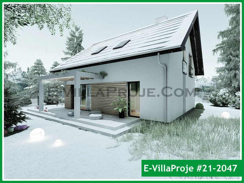 Ev Villa Proje #21 - 2047