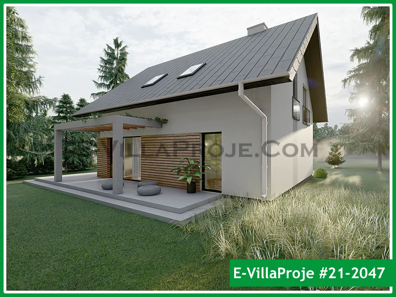 Ev Villa Proje #21 - 2047