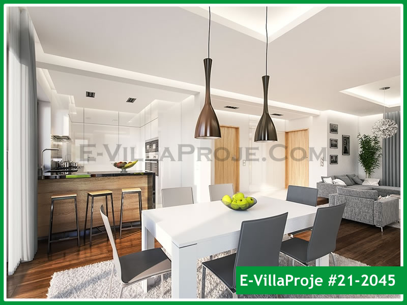 Ev Villa Proje #21 - 2045