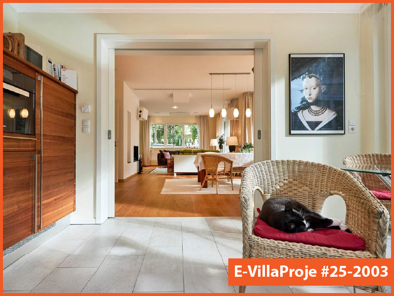Ev Villa Proje #25 - 2003