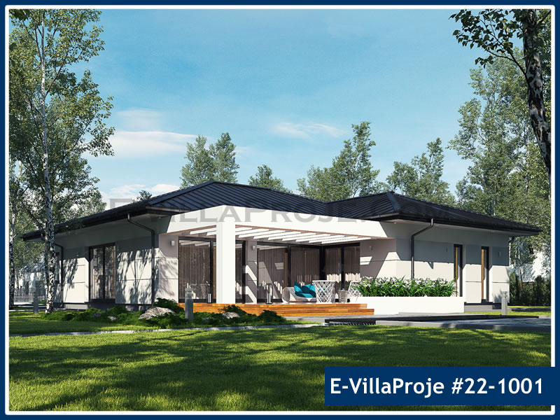 Ev Villa Proje #22 - 1001