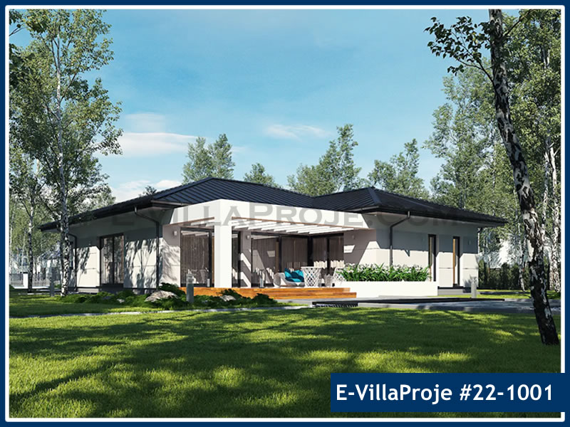 Ev Villa Proje #22 - 1001