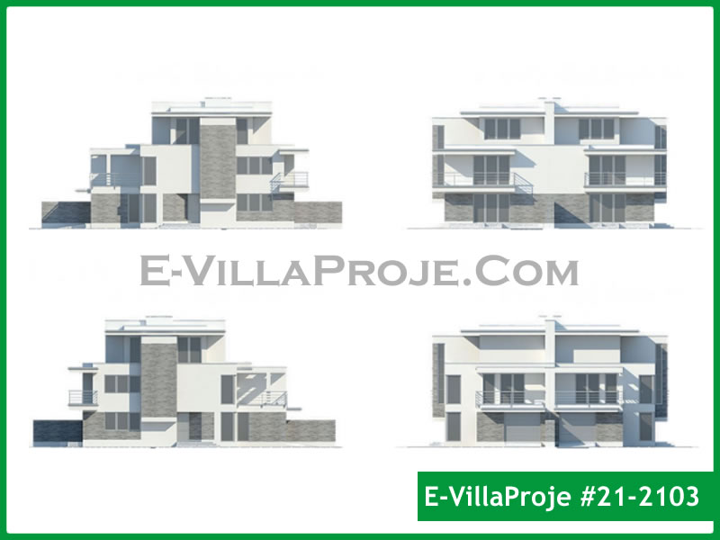 Ev Villa Proje #21 - 2103
