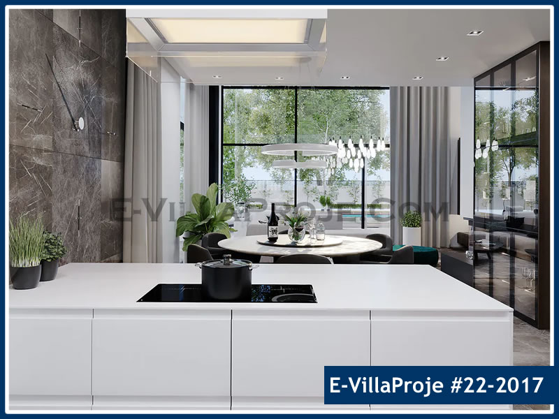 Ev Villa Proje #22 - 2017