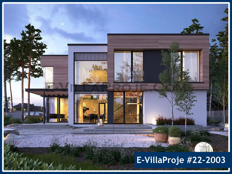 Ev Villa Proje #22 - 2003