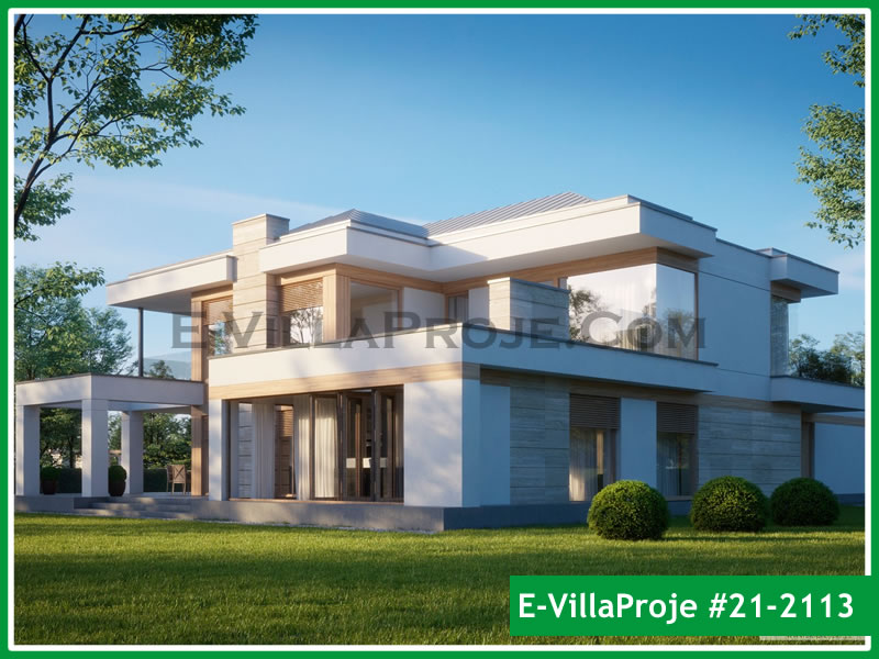 Ev Villa Proje #21 - 2113