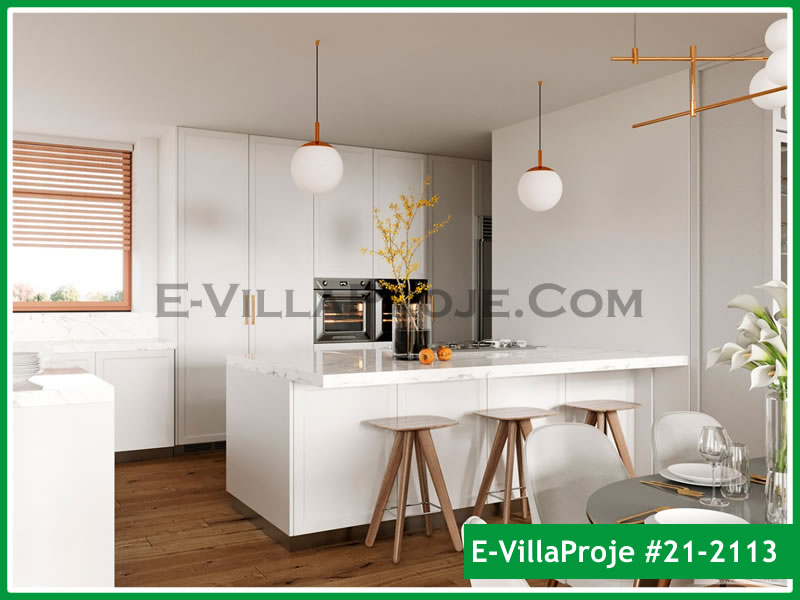 Ev Villa Proje #21 - 2113