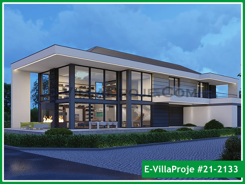 Ev Villa Proje #21 - 2133