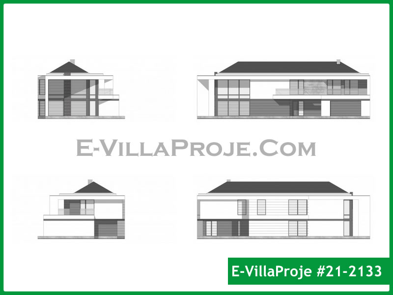 Ev Villa Proje #21 - 2133