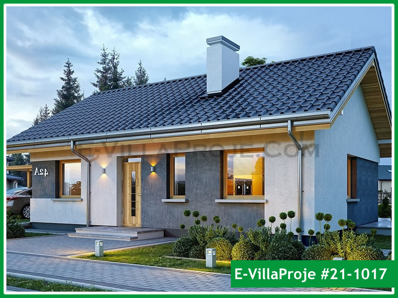 Ev Villa Proje #21 - 1017