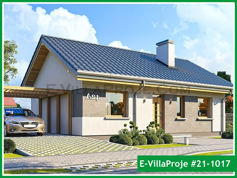 Ev Villa Proje #21 - 1017